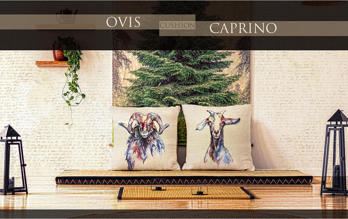 OVIS - CAPRINO